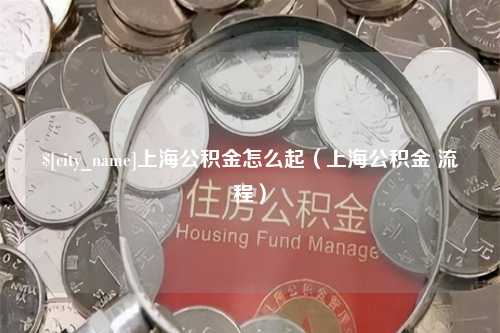 临沧上海公积金怎么起（上海公积金 流程）